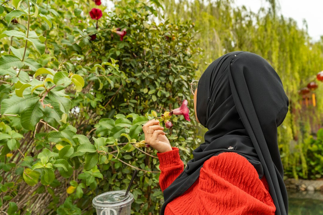 person pruning roses